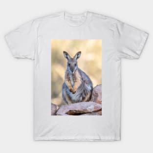 Yellow Footed Rock Wallaby, Arkaroola South Australia T-Shirt